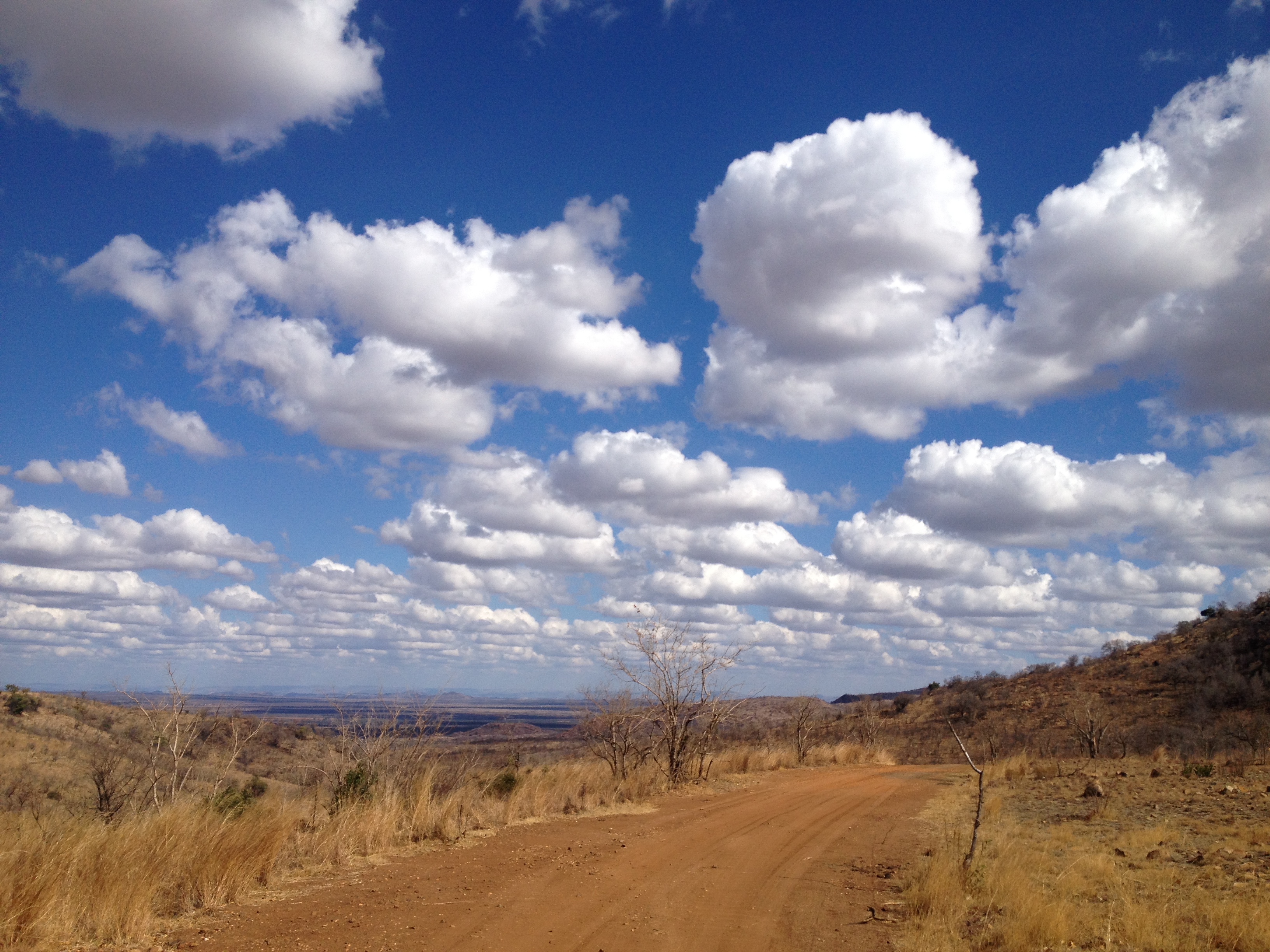 Pilanesberg Game Reserve